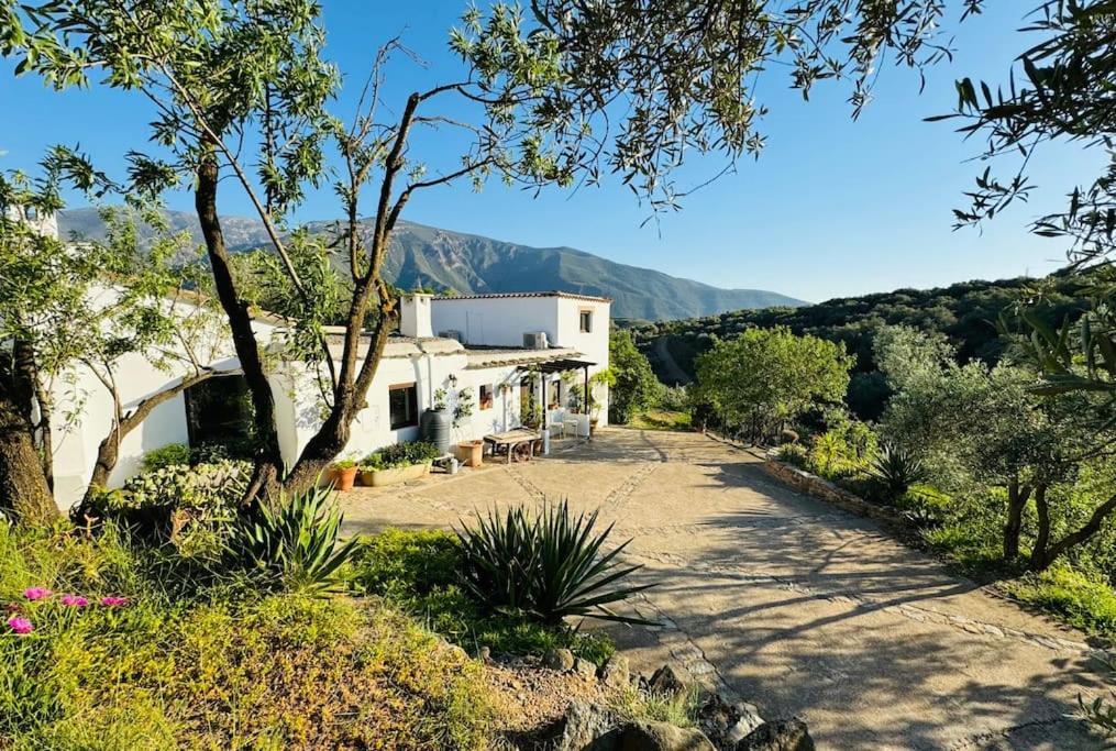 Villa Almond Hill House à Orgiva Extérieur photo